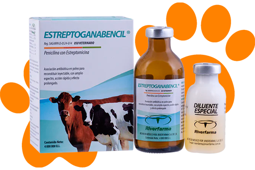 FARMACIA VETERINARIA