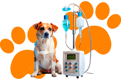 APLICACIÓN DE MEDICAMENTOS